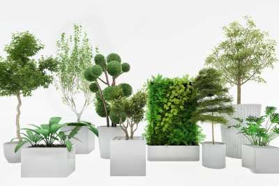 现代植物组合3D模型下载